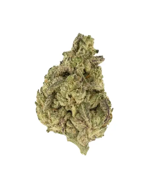 THCA Flower - Hood Candy - Hood Candy is an indica-dominant hybrid strain that offers a delightful blend of euphoria and relaxation. Its sweet, fruity flavors with hints of grape and berry make for a joyous experience.
Genetics: Runtz x Why U Gelly
Strain: Hybrid
Effects: Euphoric, Relaxing, Uplifting
Flavors: Sweet, Fruit, Grape, Berry
THCA Content: 26.05%