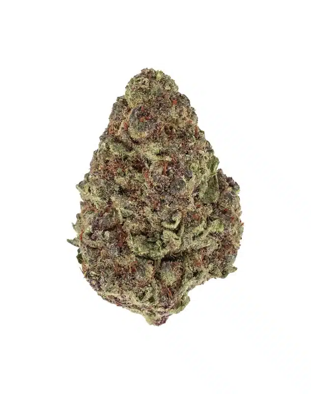 THCA Flower - Purple Cream (Smalls) - Purple Cream is an indica strain that's a true gem for relaxation and stress relief. Its mellowing and calming effects are perfect for a serene end to your day. With unknown genetics, this mysterious flower is making a name for itself.
Genetics: Unknown lineage
Strain: Indica
Effects: Mellowing, Calming, Relaxing, Stress Relief, Euphoric
Flavors: Fruity, Lavender, Pungent
THCA Content: 23.78%
