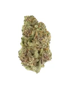 THCA Flower - Purple Urkle - Purple Urkle is an indica strain that embodies relaxation. Its grape, berry, and plum flavors offer a delightful experience, perfect for a restful evening.
Genetics: Mendocino Purps
Strain: Indica
Effects: Relaxing, Sleepy, Relieving
Flavors: Grape, Berry, Plum
THCA Content: 25.14%