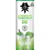 Delta 9 Seltzer 4-Pack - Mojito - Come chill at Reefer’s Bay with our brand new Delta 9 THC seltzers. With 5mg of Delta 9, our Mojitos are just what you need to cool off on a hot, summer day. So, what are you waiting for? Put your feet up and drink your way to Reefer’s Bay.
